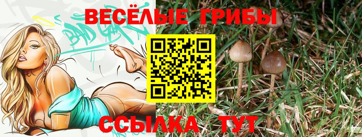 Псилоцибиновые грибы Psilocybe  Псилоцибиновые грибы Psilocybine cubensis  Вход с VPN  Нурлат 